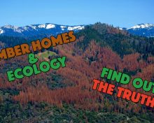 The Truth About Ecology and Timber/Log Homes
